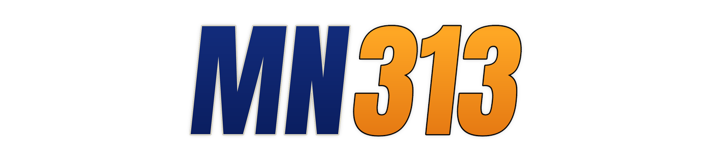 mn313